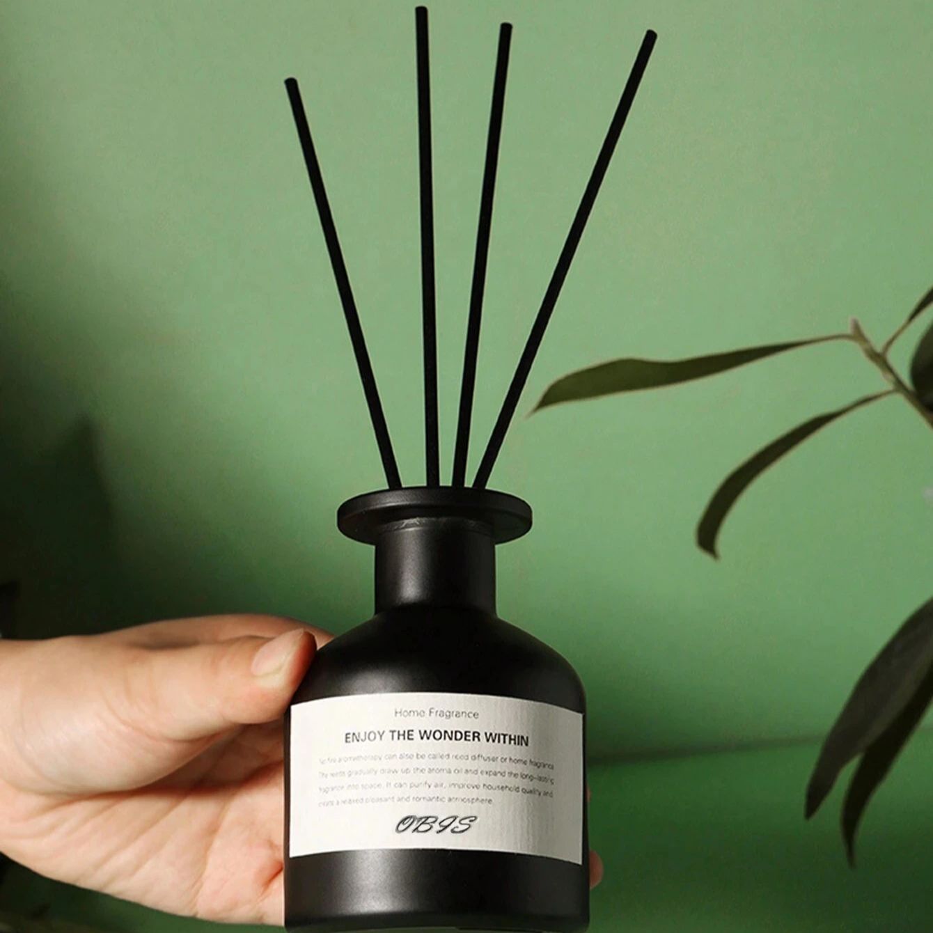 Fragancia sin llama para el ho - Home Fragrance Jasmine Diffuser reseña y precio