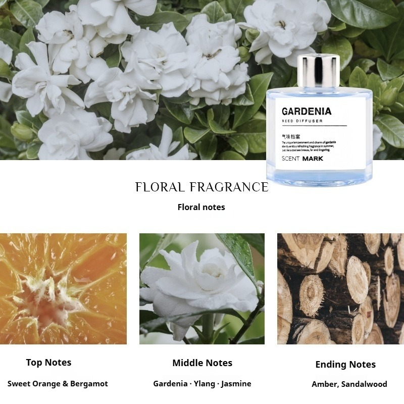 Conjuntos de difusores de caña - Home Fragrance Jasmine Diffuser reseña y precio